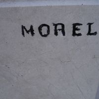 MOREL Félix Maître-carrier sur le monument